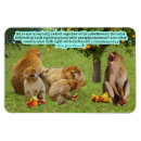 Suche nach korinther magnete Christlich