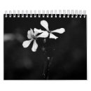 Suche nach schwarze frauen kalender Schwarz weiß