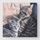 Suche nach miezekatzen kunst Tier