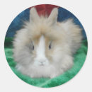 Suche nach rabbit aufkleber Bezaubernd