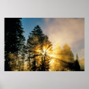 Suche nach river poster Baum