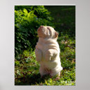 Suche nach shar pei poster Welpe