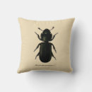 Suche nach käfer kissen Entomologie