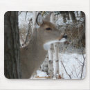 Suche nach kitz mousepads Dollar