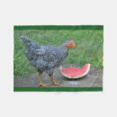 Suche nach hennen decken Geflügel