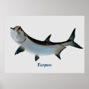 Suche nach tarpon poster Fischerei