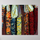 Suche nach mais poster Herbst