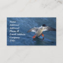 Suche nach duck visitenkarten Enten