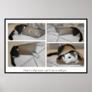 Suche nach umschlag poster Katze