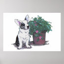 Suche nach welsh corgi poster Herde