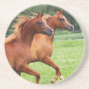 Suche nach arabisch untersetzer Araber