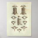 Suche nach 1844 poster Vintag