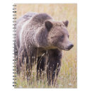 Suche nach fell kleine notizbücher Braun