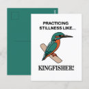 Suche nach eisvogel poster Vogelbeobachtung