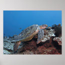 Suche nach kanten poster Natur