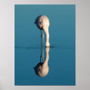 Suche nach atacama poster Flamingo