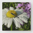 Suche nach violette wanduhren Wildblumen