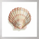 Suche nach rosa muschel poster Strand