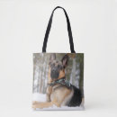 Suche nach schneehund Deutscher hirte