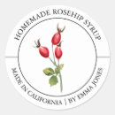 Suche nach rose angesagt Rosship