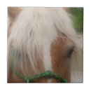 Suche nach ponys fliesen Niedlich