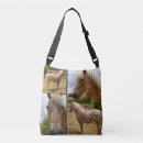 Suche nach appaloosa accessoires Foto