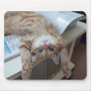 Suche nach miezekatze mousepads Katzenartig