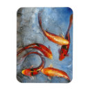 Suche nach koi magnete Tiere