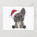 Suche nach bulldogge postkarten Lustige tiere