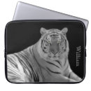 Suche nach weißer kasten Tiger