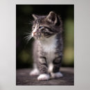 Suche nach stehender poster Tiere