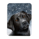 Suche nach schwarzer hund magnete Malerei