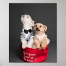 Suche nach hundeknochen poster Weihnachten