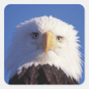 Suche nach weißkopfseeadler aufkleber Patriotisch
