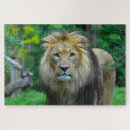 Suche nach dschungel puzzle Löwe