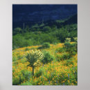 Suche nach pipe poster Wildblume