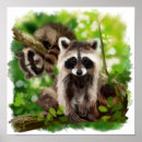 Suche nach waschbären poster Aquarell