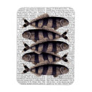 Suche nach gestreiftes magnete Blume