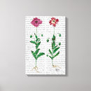 Suche nach steampunk leinwandbilder Karnell