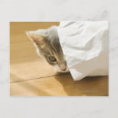 Suche nach taschen postkarten Katze