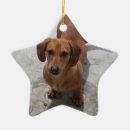 Suche nach dackel weihnachtsschmuck Haustier