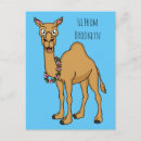 Suche nach lustiges kamel postkarten Wüstentier