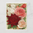 Suche nach vintage rote rose postkarten Für sie/ihn