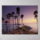Suche nach thailand poster Palme