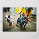 Suche nach haustier karten Modern