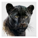 Suche nach schwarze panther poster Schwarzpanther