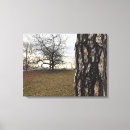 Suche nach baum leinwandbilder Sonnenaufgang