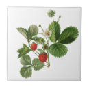 Suche nach vintage erdbeeren fliesen Natur