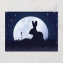 Suche nach hare postkarten Bunny
