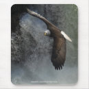 Suche nach amerikanischer adler mousepads Weißkopfadler